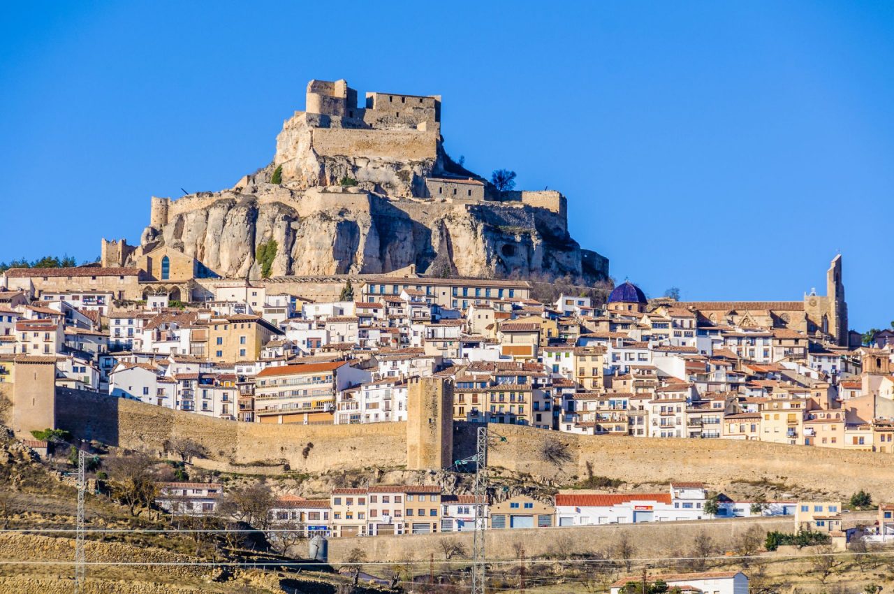 Morella